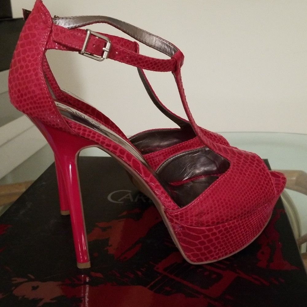 Carlos Santana  Snake Skin Pumps